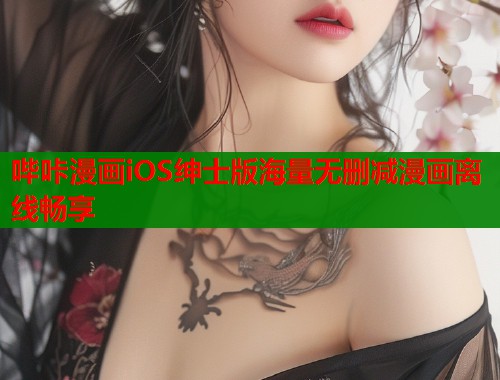 哔咔漫画iOS绅士版海量无删减漫画离线畅享