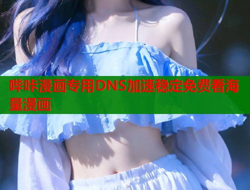 哔咔漫画专用DNS加速稳定免费看海量漫画
